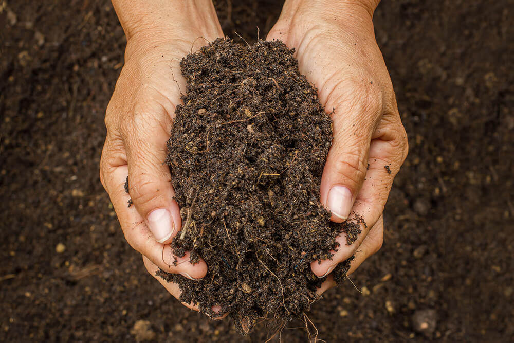 Organic Soil Boulder