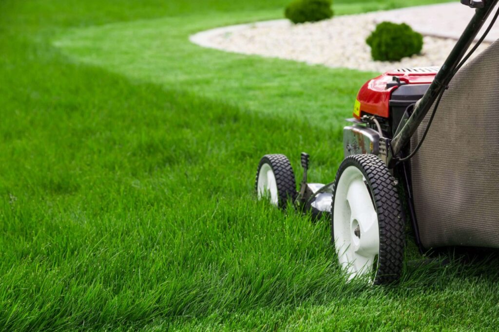 Proper Lawn Mowing - Boulder