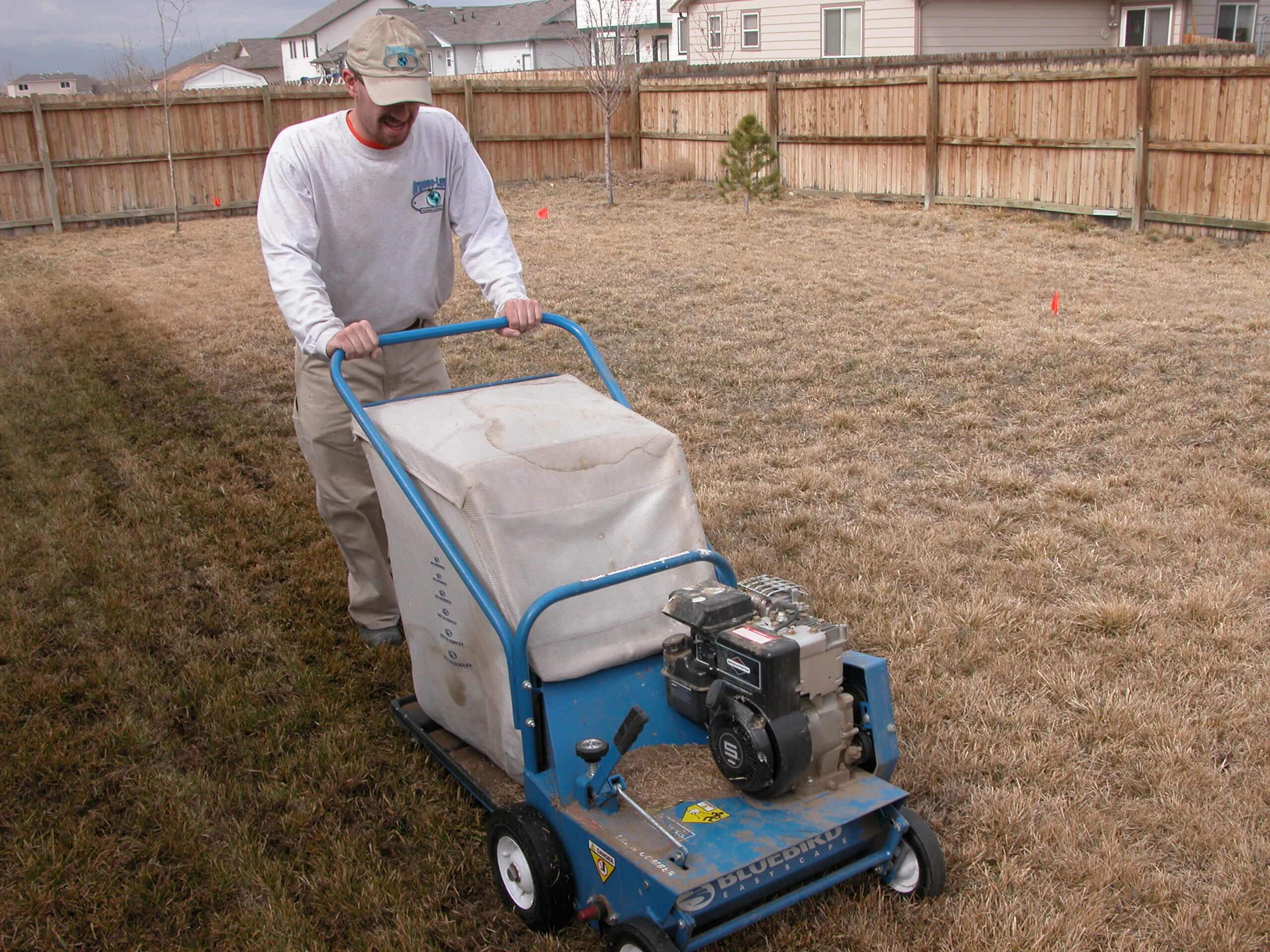 Does my Lawn Need Dethatching? - Organo-Lawn