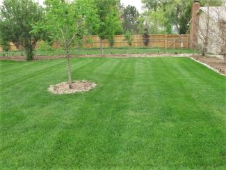 Lawn Fertilization