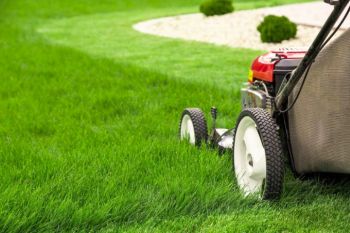 Lawn-Mowing-Mistakes Lawn-Mowing-Mistakes