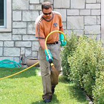 Lawn_Spraying_Boulder Lawn_Spraying_Boulder