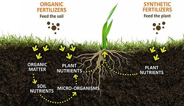 Does Weed Barrier Work : Raised Bed Weed Barrier Fabric With Planting Hole Low Price Guarantee Agfabric / Weed barrier (aka landscape fabric) sounds like the perfect solution for reducing garden maintenance.