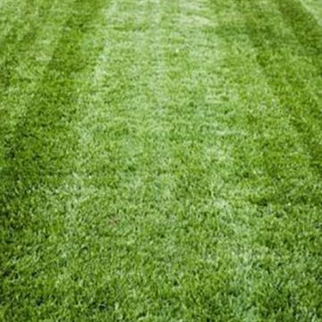 Lawn Care Services Boulder Colorado