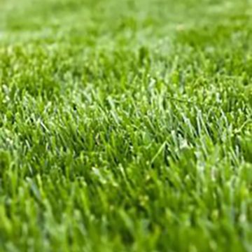 Lawn Care Services Boulder Colorado