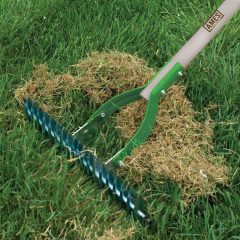 rake out dead grass Raking Dead Grass