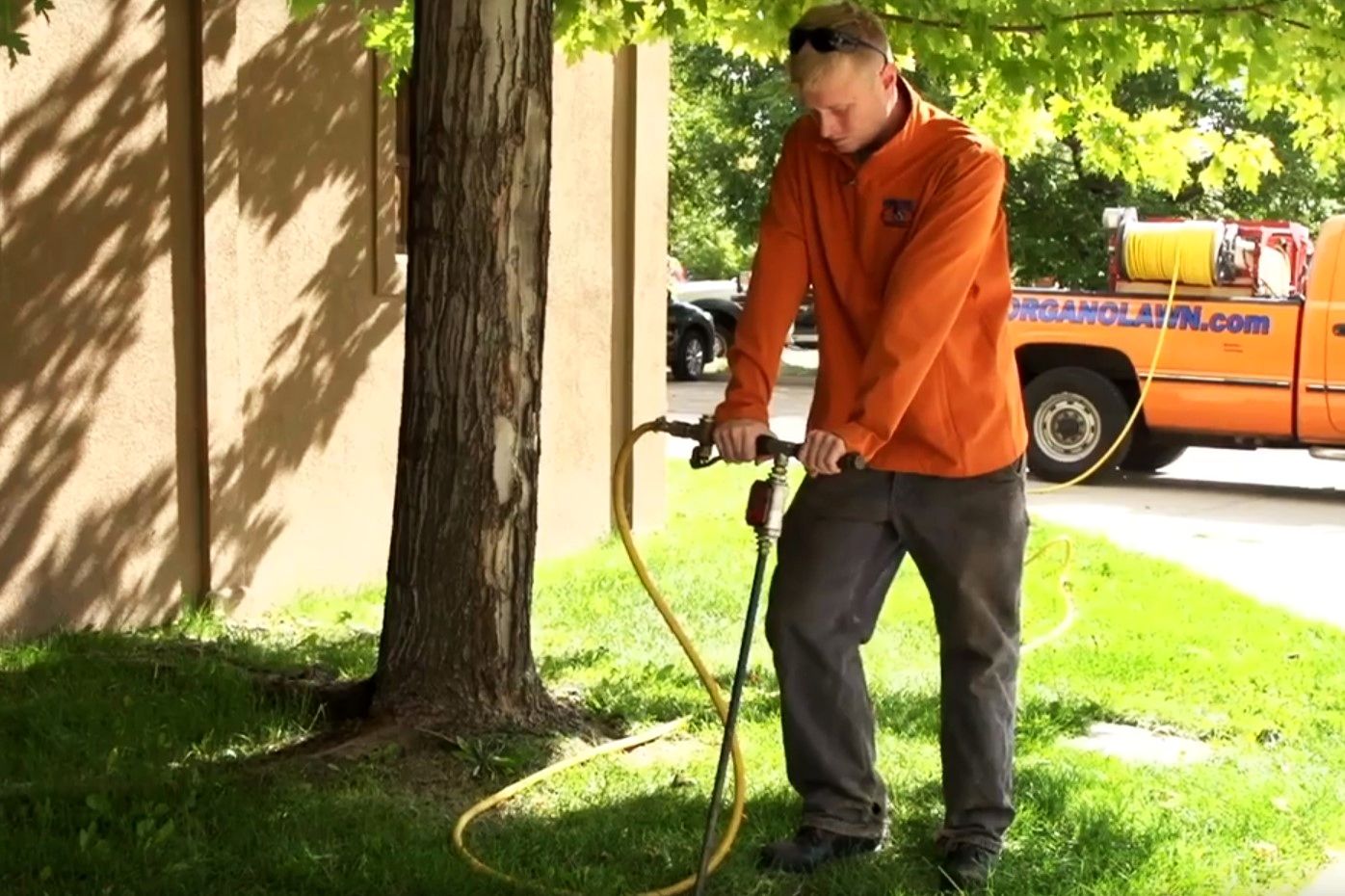 Spring Tree Fertilization