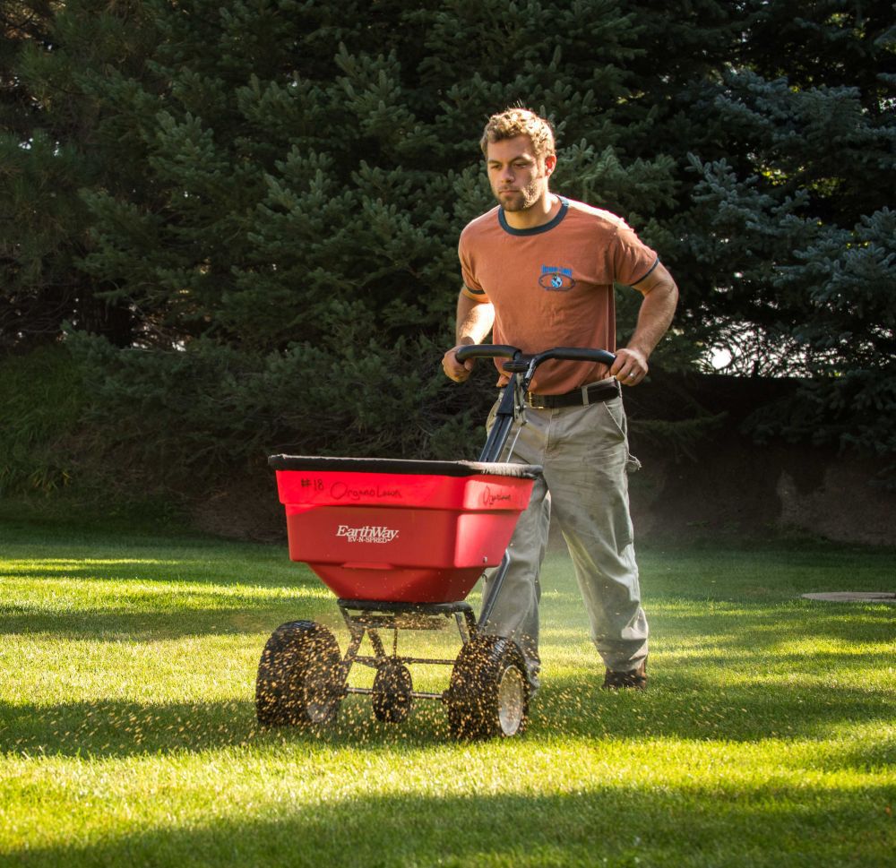 Organic Lawn Fertilizer Service