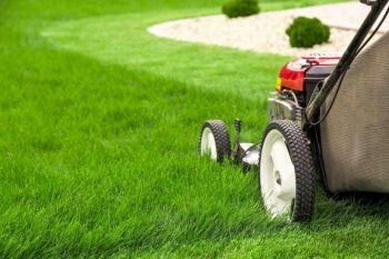 Lawn-Mowing-Mistakes