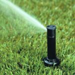 How to Properly Water a Lawn | Colorado Lawn Watering Guide