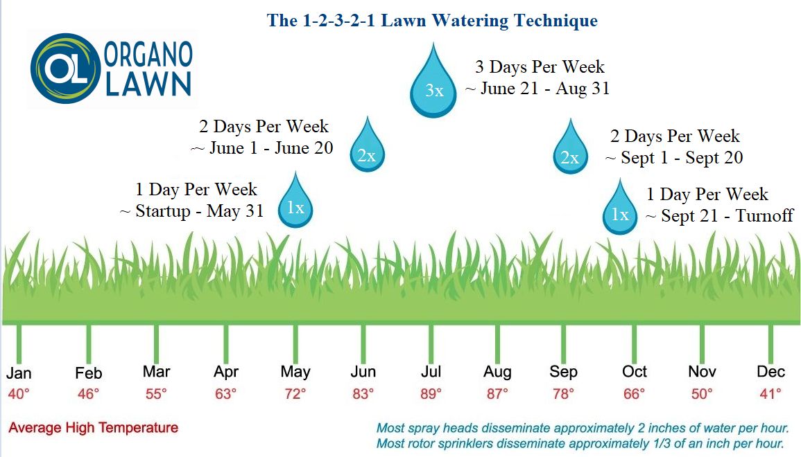 How to Properly Water a Lawn | The Best Way to Water Grass
