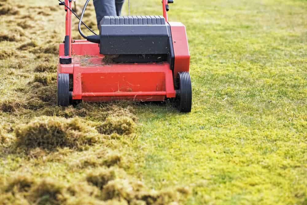 Dethatching a Lawn