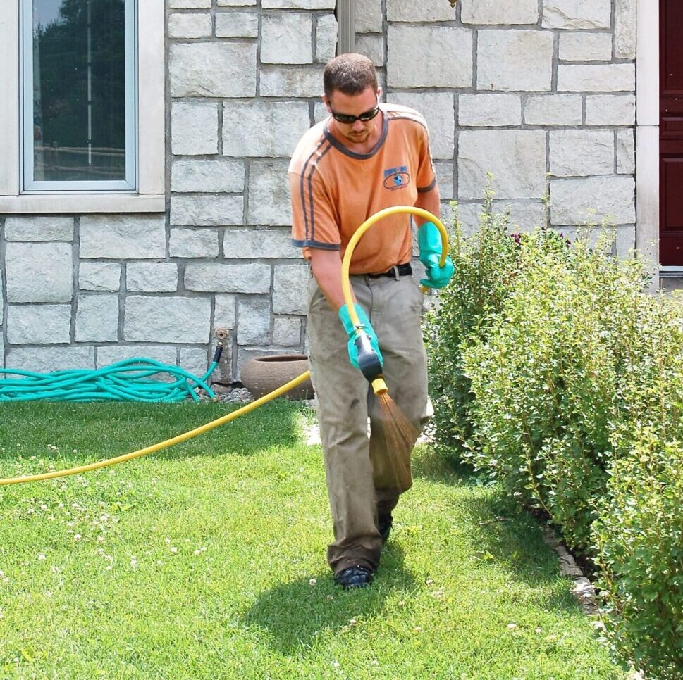 Best-Local-Lawn-Care-Service