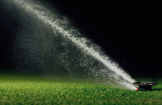 night-watering