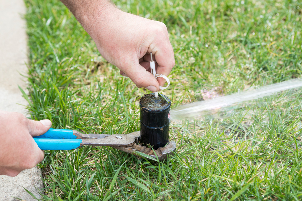 Schedule Sprinkler Services