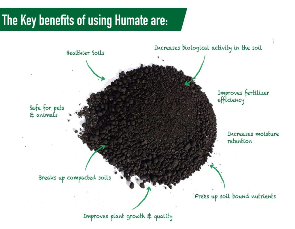 Humate Soil Conditioner for Lawns