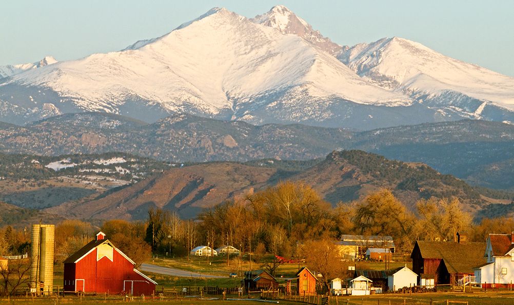 Organic Lawn Care Services Longmont Colorado