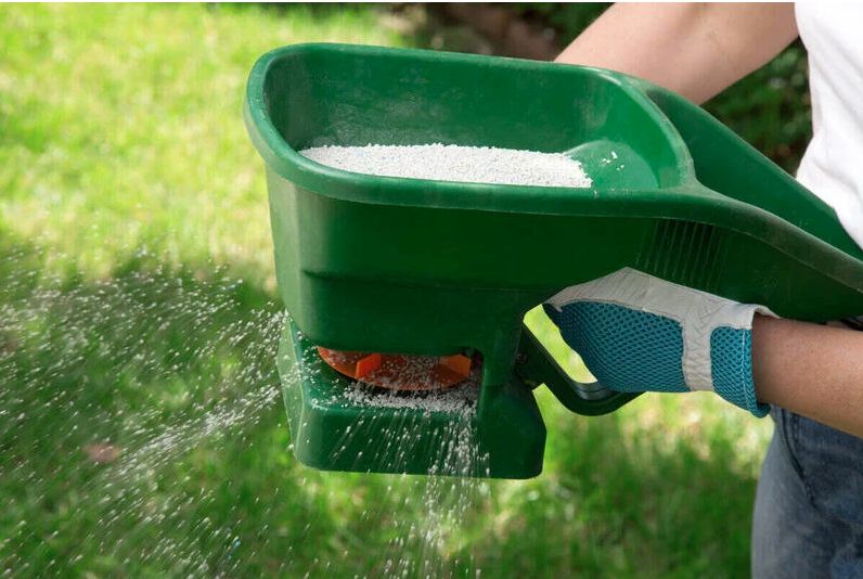 How to Save Water In a Lawn
