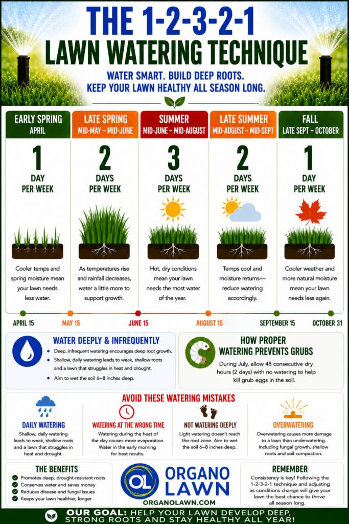 How to Water a Lawn Correctly